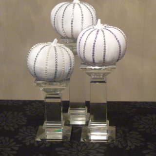Glam Pumpkins