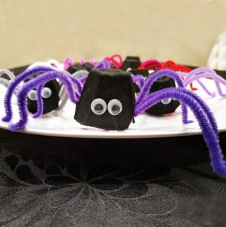 Give your Halloween a fun surprise. Whether you are hosting a Halloween meal or simply tricking the people in your family, Trick-Or-Treat Halloween Spiders are the perfect way to add some festive fun to any meal. 